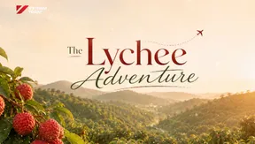 The Lychee Adventure | Local Towards Global