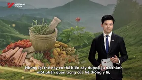 Việt Nam taps economic potential of medicinal plants | Bizline
