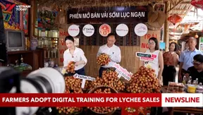 Farmers adopt digital training for lychee sales