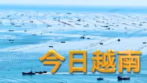 China Link | 24.06.2026