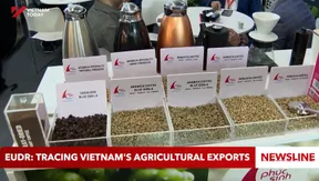 EUDR: Tracing Việt Nam's agricultural exports