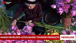 Hà Nội develops lotus-based tourism products