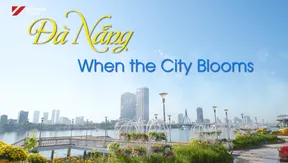 Đà Nẵng - When the City Blooms | Hello Vietnam