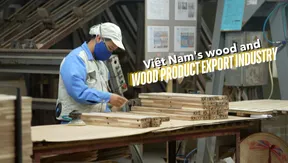 The Point 1: Việt Nam's wood and wood product export industry | 01.07.2026