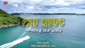 Phú Quốc - Amazing Sea World | Hello Vietnam