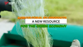 Agricultural by-products: A new resource for the green economy | Vibes of Vietnam