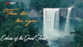 Echoes of the Dipterocarp Forest | Vibes of Vietnam