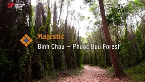 Majestic Bình Châu – Phước Bửu Forest | The Rhythms of Vietnam