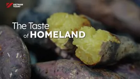 The Taste of Homeland | Vibes of Vietnam