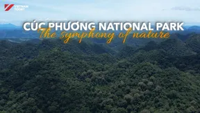 Cúc Phương National Park | Vietnam Destination