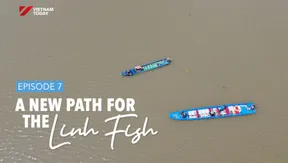 Tracing Linh fish: Ep 7 - A new path for Linh fish | Vibes of Vietnam
