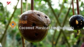 Coconuts musical instruments | The Rhythms of Vietnam