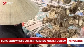 Long Sơn: Where oyster farming meets tourism