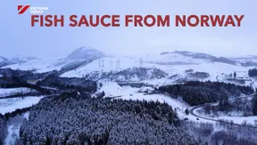 Fish sauce from Norway | Vietnam Imprints