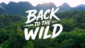 Back to the wild | I-Report