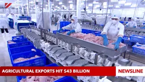 Agricultural exports hit $43 billion