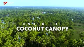 Under the Coconut Canopy | Vibes of Vietnam