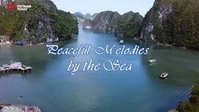 Peaceful Melodies by the Sea | Vibes of Vietnam