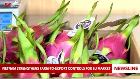 Vietnam strengthens farm-to-export controls for EU market