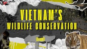 Into Vietnam’s Wildlife | Vietnam Explained