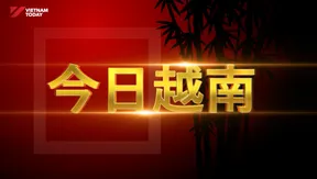 China Link | 19.08.2026