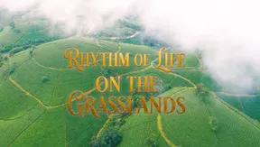 Rhythm of Life on the Grasslands | Vibes of Vietnam