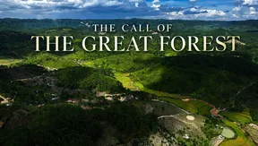 The call of the great forest | Vietnam Destination