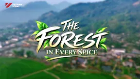The Forest in Every Spice | Flavours and Beyond