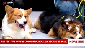Pet festival offers colourful holiday escape in Ho Chi Minh City