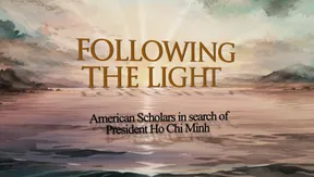 Following the Light | Insights