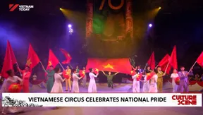 Vietnamese circus celebrates national pride