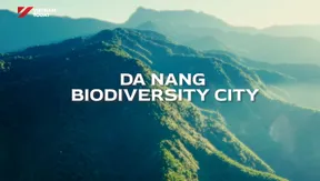Danang Biodiversity City | Vibes of Vietnam