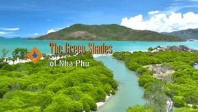 The green shades of Nha Phu | The Rhythms of Vietnam