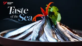 Taste of the Sea | Vietnam Destination