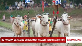 Ro Pagoda ox racing stirs Khmer villages into celebration