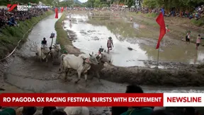 Ro Pagoda Ox Racing Festival bursts with excitement