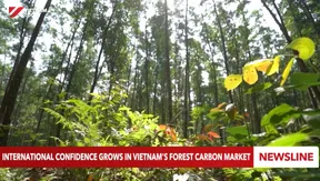 International confidence grows in Vietnam's forest carbon market