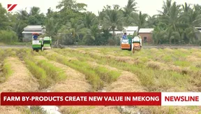Farm by-products create new value in Mekong