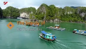 The Beauty of Bai Tu Long Bay | The Rhythms of Vietnam