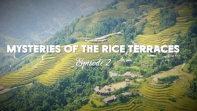 Mysteries of the Rice Terraces - Episode 2 | Insights