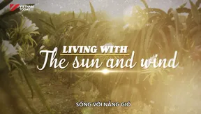 Living with the sun and wind | The Lens