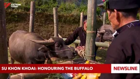 Su Khon Khoai: Honouring the buffalo