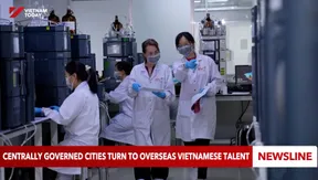 Centrally governed cities turn to overseas Vietnamese talent