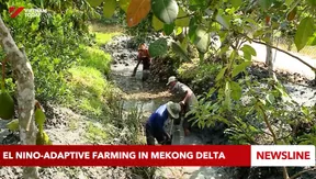 El Niño-adaptive farming in Mekong Delta