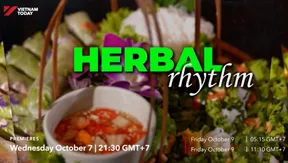 Herbal Rhythms | Flavours & Beyond