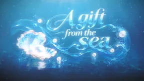 Gift from the Sea | Vietnam Destination