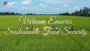 The Point 1: Vietnam Ensures Sustainable Food Security | 14.10.2026