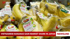 Vietnamese bananas gain market share in Japan
