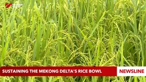 Sustaining the Mekong Delta’s rice bowl