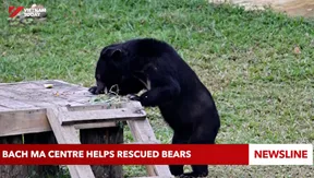 Bach Ma Centre helps rescued bears